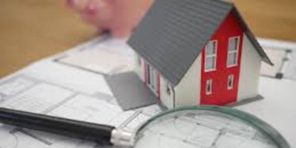 Realtor that knows what to look for