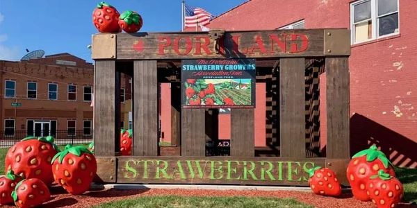 Discover Portland, Tennessee: A Hidden Gem for Homebuyers &hellip;