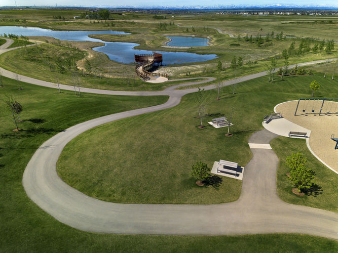 Starling in Hotchkiss