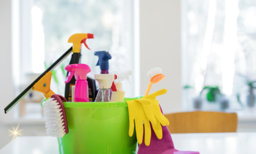 Are Landlords Responsible for Pest Control? A Complete &hellip;