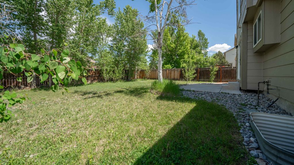 Bohart- Back Yard