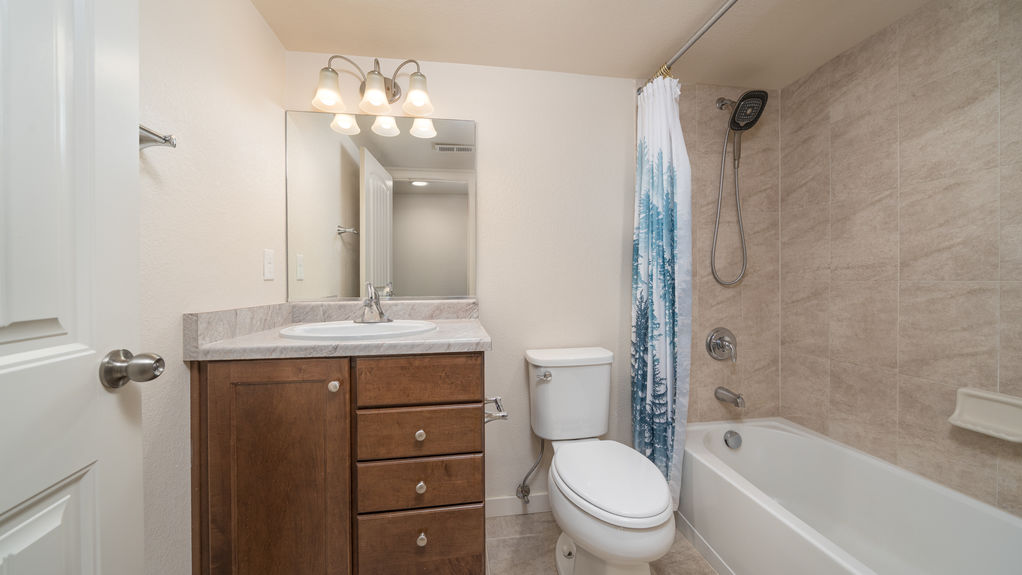 10825 Fossil Dust- Basement Bathroom