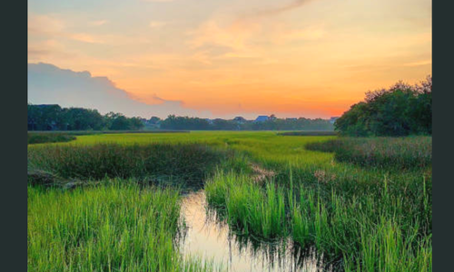 MayRiverGroup Lowcountry - January Edition