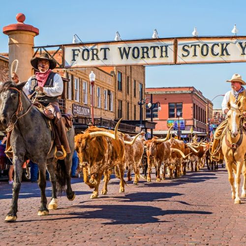 Why DFW Real Estate Statistics Don't Tell the Whole Story
