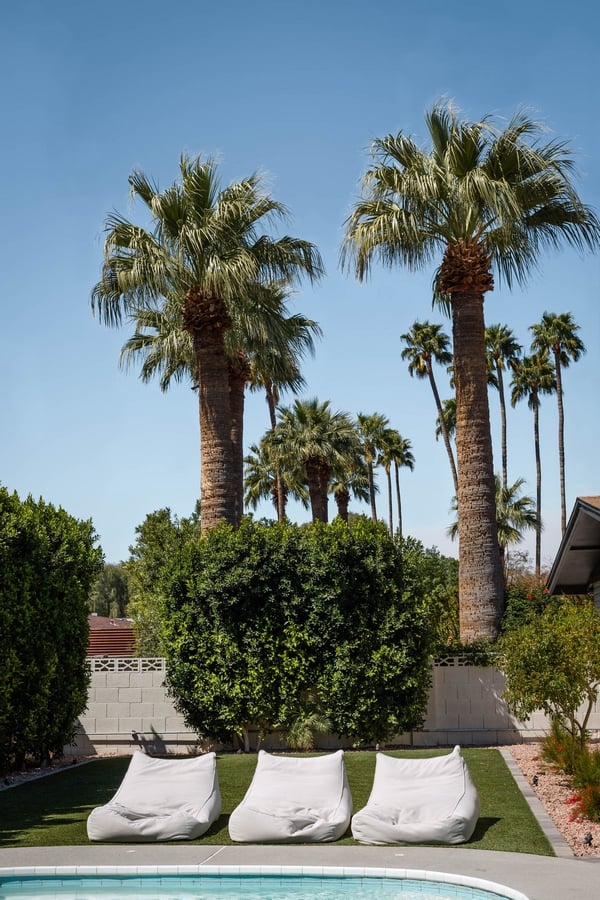 Palm,Tree,Backyard,Desert - DT Real Estate Group