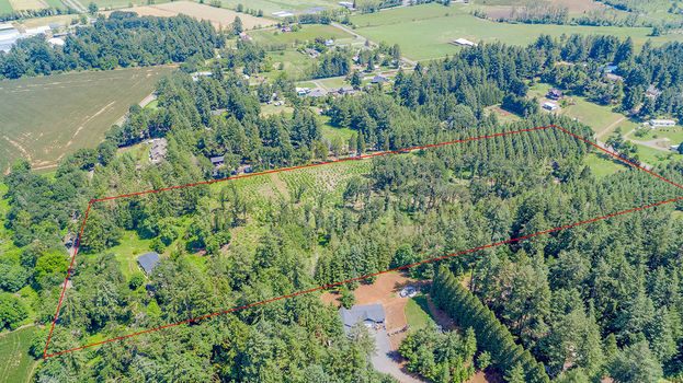 3915 CLOVERDALE DR SE 002