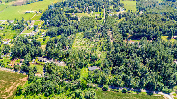 3915 CLOVERDALE DR SE 003