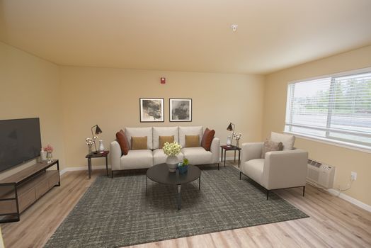 16516979463532343_dsc_0030