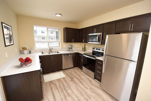 16516979468473831_dsc_0028