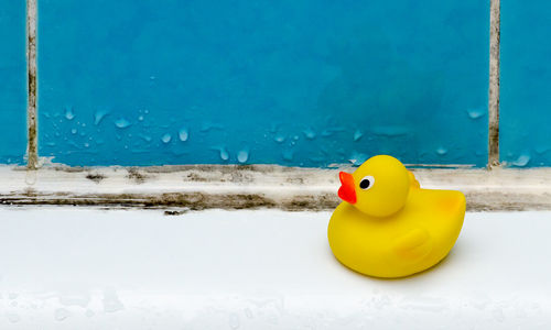 What You Need To Know About Mold