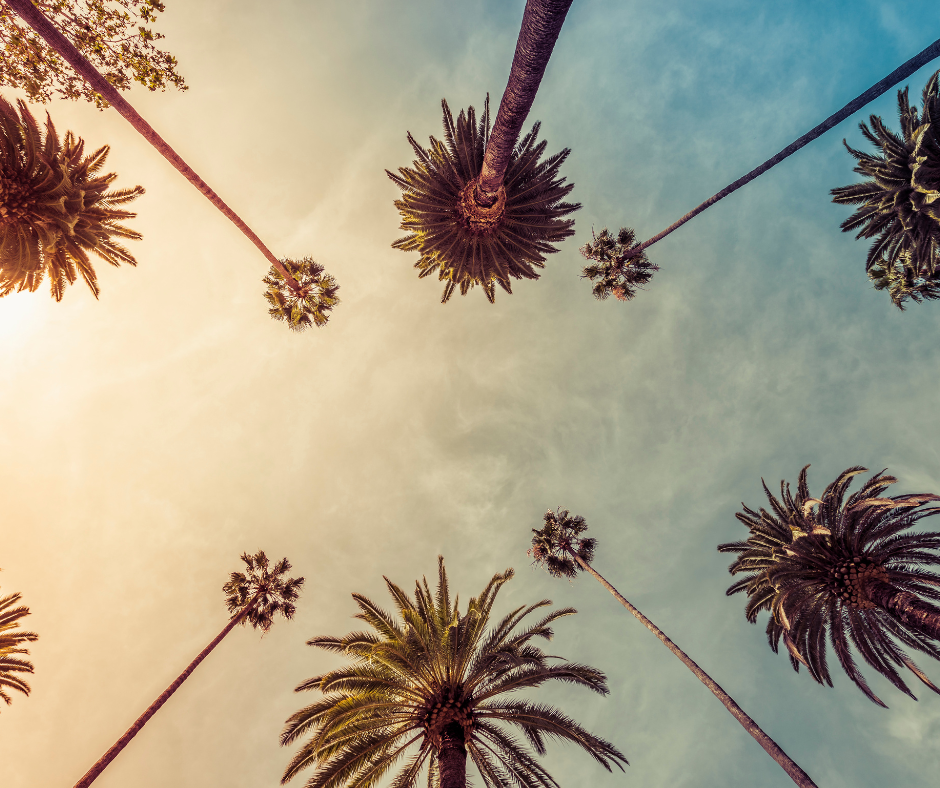 long-beach_7
