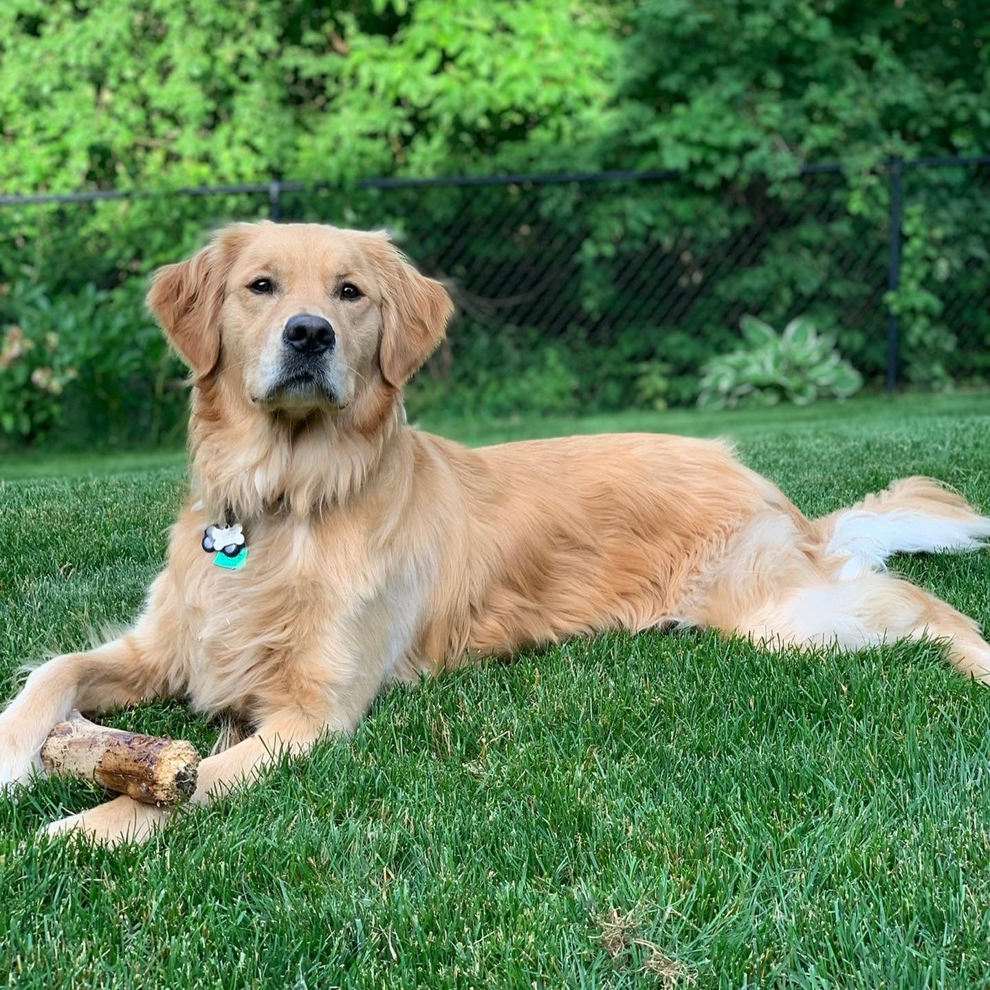 CC88C1E6-0B5A-408F-9431-0259CCD69113