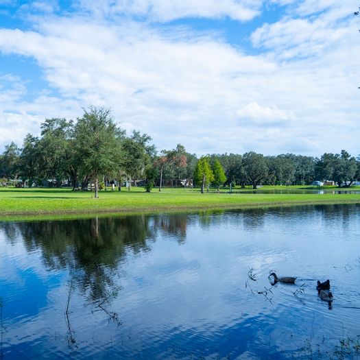 Indian River Access & Views
