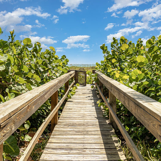 Beach Access