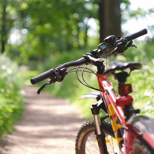Biking & Walking Trails