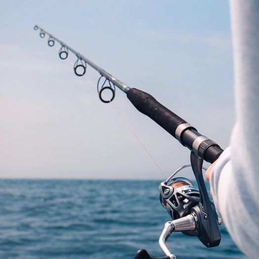 Fishing