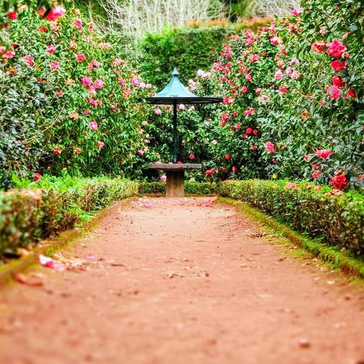 Rockledge Gardens