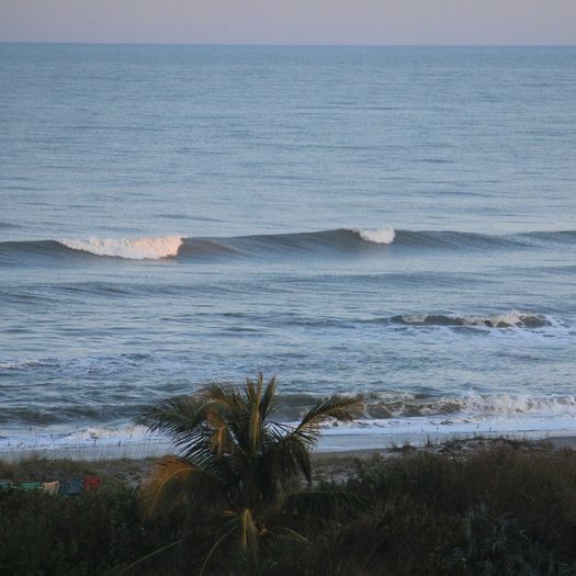 Surfing