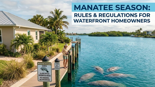 Manatee Season: A Guide to Rules and Regulations for Waterfront Homeowners