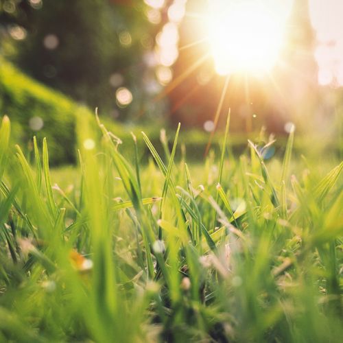 April 2025 - Space Coast News and Home Sales Statistics