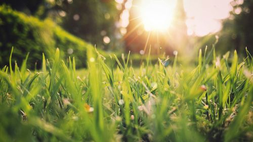 April 2025 - Space Coast News and Home Sales Statistics