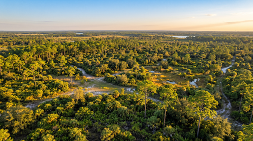 Vacant Land Valuation: Pricing Trends for Brevard Lots