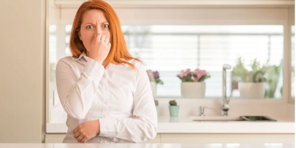 Realtor.com Quotes San Diego Real Estate Expert Kimberly &hellip;