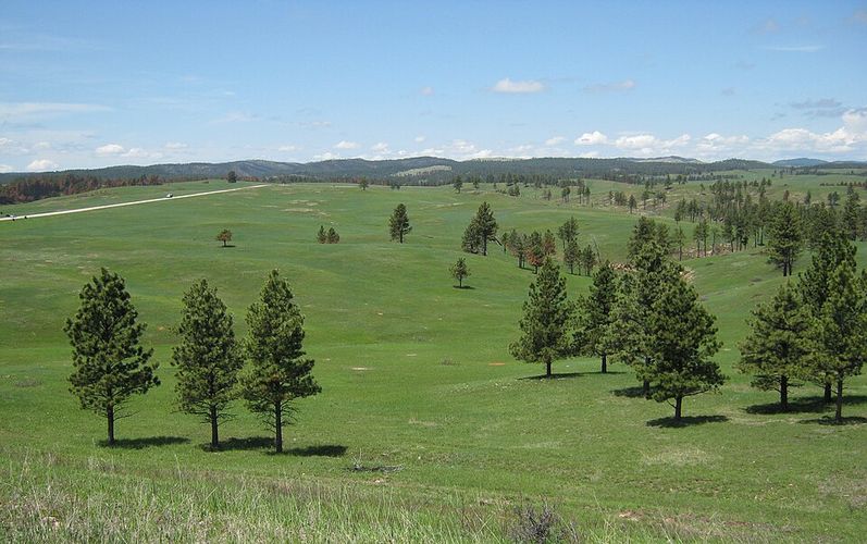 Castle Pines
