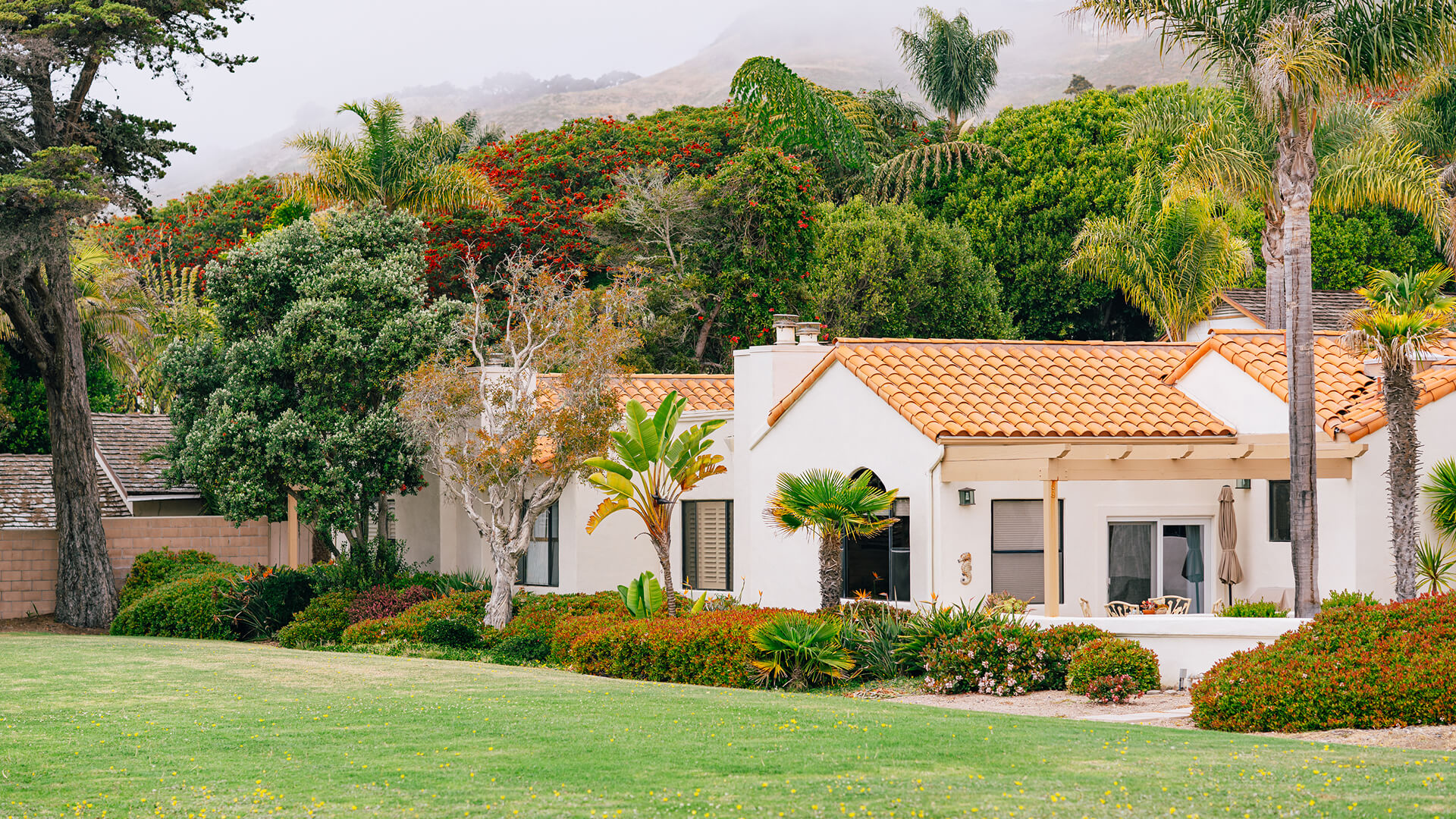 Ravenhill- Img 21 (1)