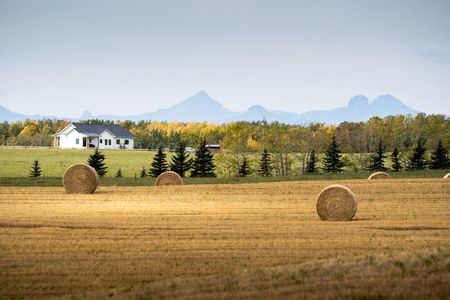 Okotoks countryside land whit yellow grass