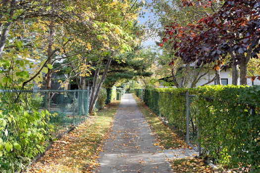 18-web-or-mls-DSC09531_1