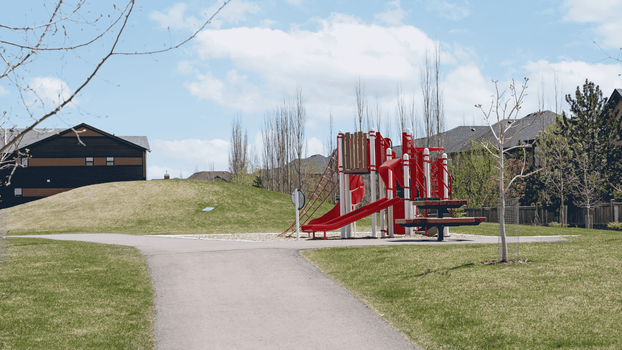 Photography 12 (1)