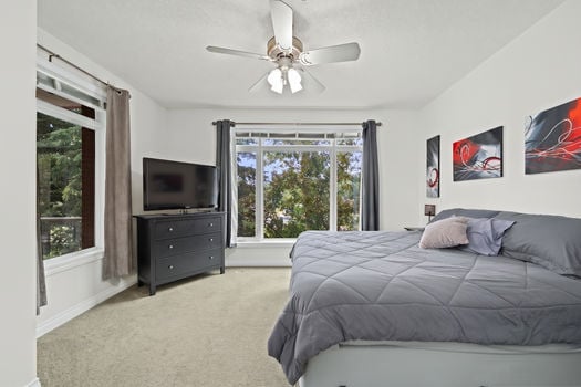 D_4203, 24 Hemlock Cresc SW_CaydenceStudio-9