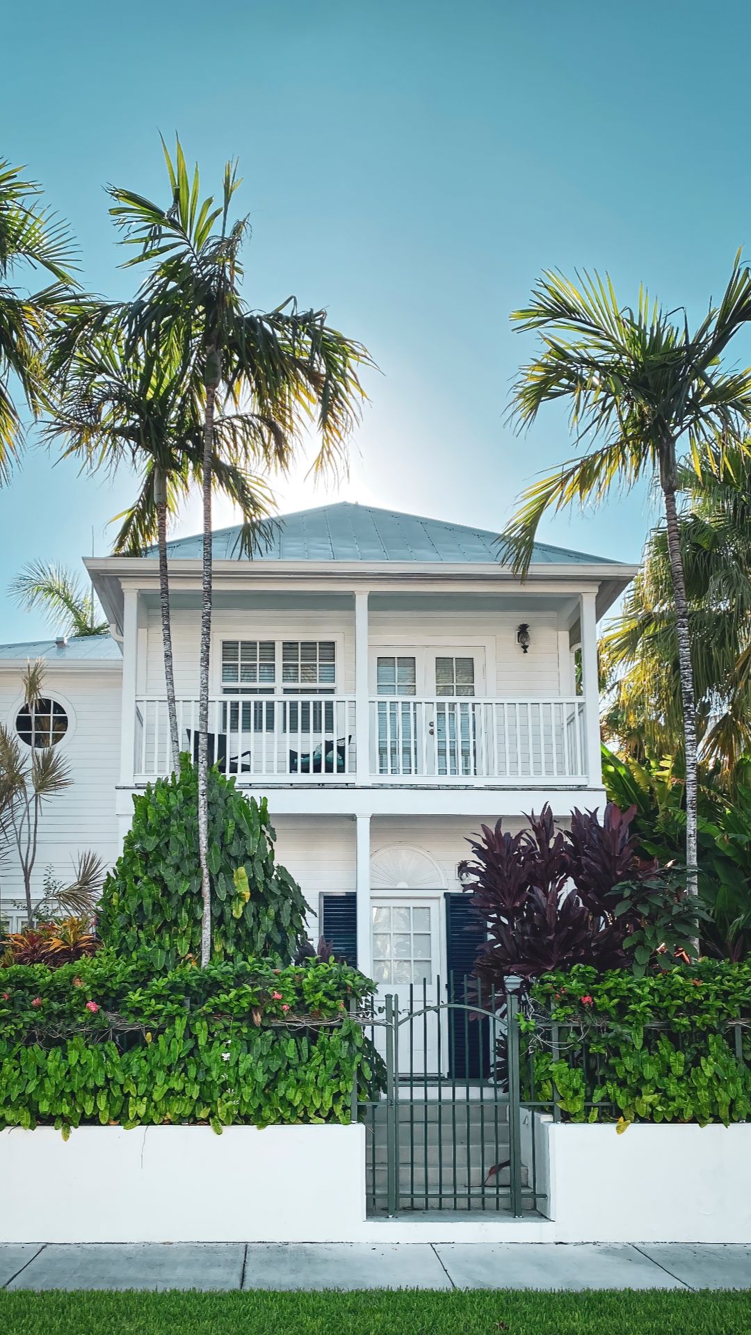 house-with-palms