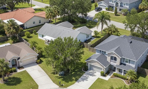 Who Is the Best Realtor in Lutz, FL?