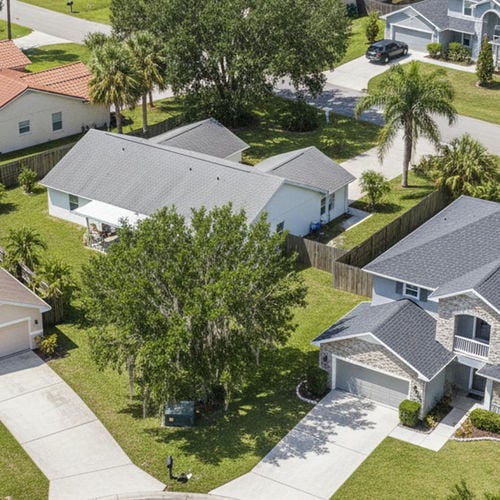 Who Is the Best Realtor in Lutz, FL?