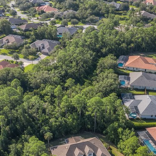 Moving to Tampa Bay: Navigating the Weather and Climate in Lutz, FL for 2026 Buyers