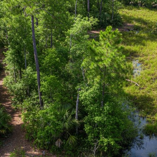 Things to Do in Lutz, FL: A Local's Guide to Recreation and Amenities in 2026