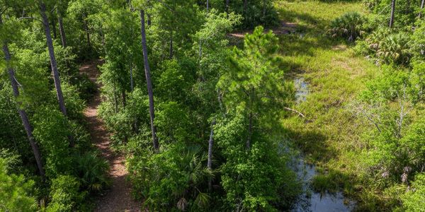 Things to Do in Lutz, FL: A Local's &hellip;