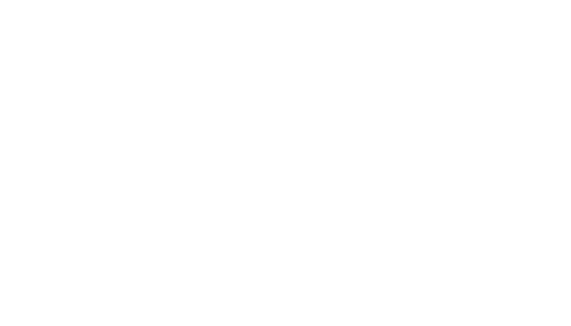 ftnidaho-logo-wh