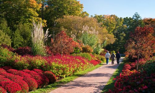 Your Guide to Fall in Chester County & …