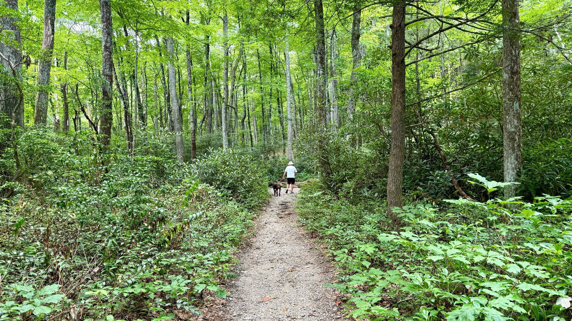 Hiking & Trails