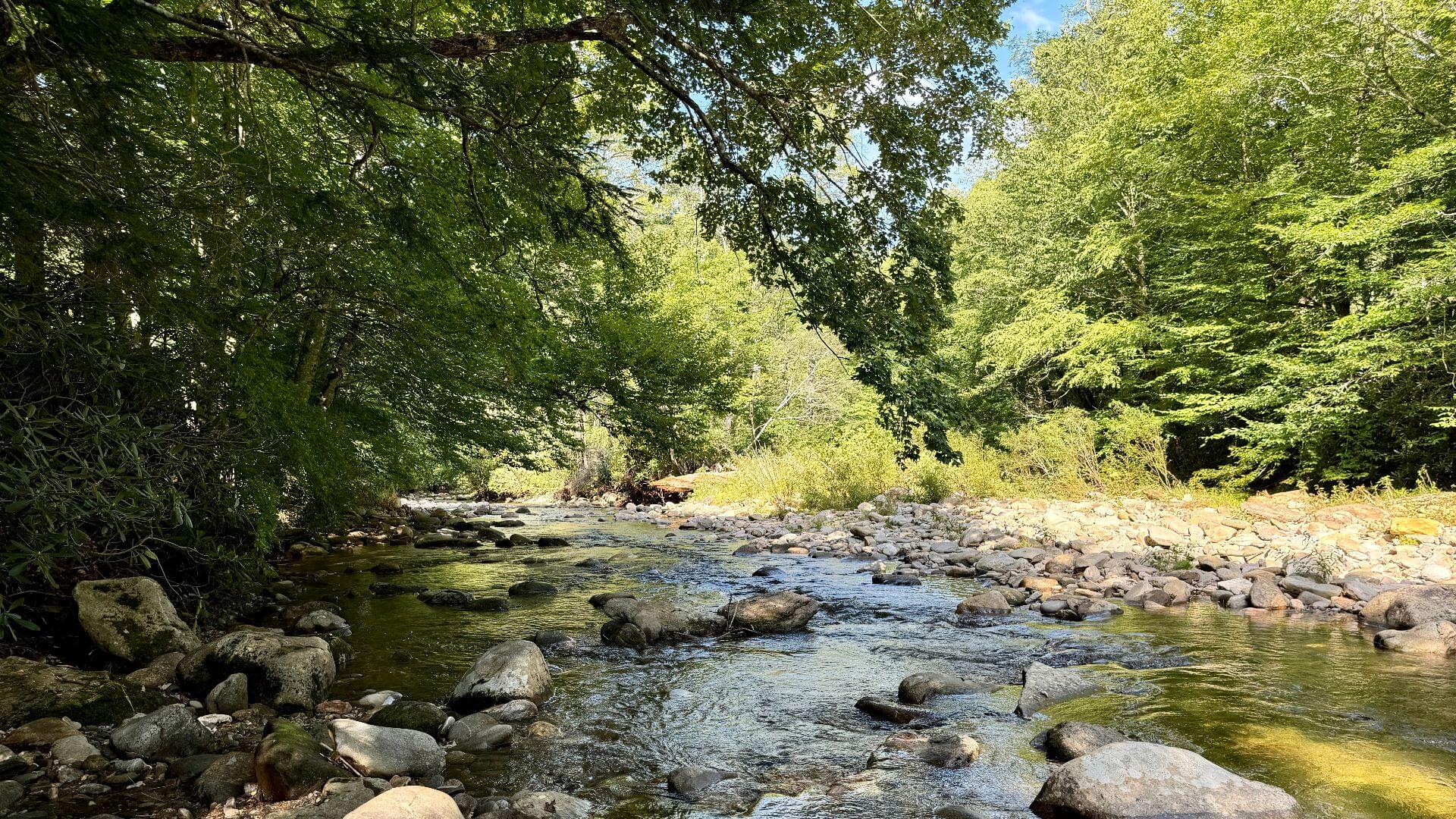 Hunting & Fishing