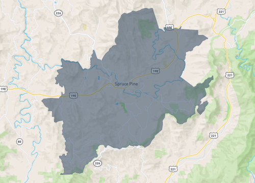 spruce pine.png