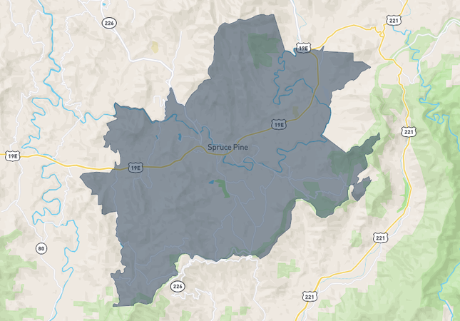 Spruce pine
