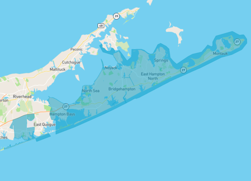 the hamptons.png