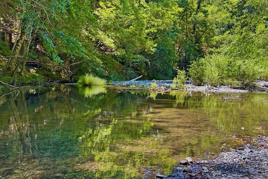 41-CREEK - b3ed43de2a587ce75d0f13c3352d7da8093d952b