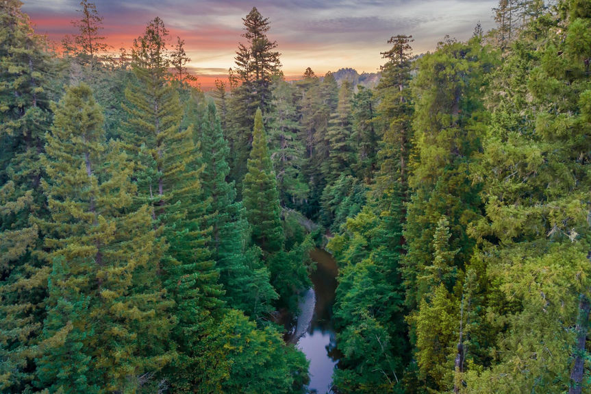 48-SUNSET - 010-5755-cazadero-highway.91591.atw.010
