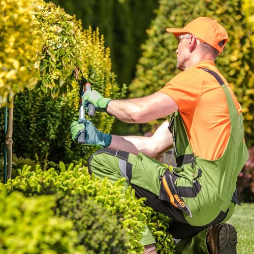 How a Clean Yard Helps Sell Your Home Fast