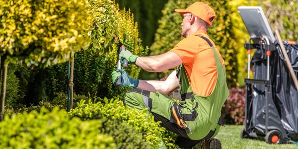 How a Clean Yard Helps Sell Your Home &hellip;